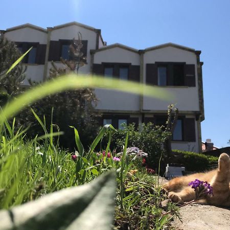 Apollon Hotel Bozcaada Kültér fotó